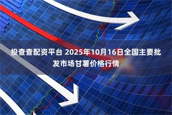 投查查配资平台 2025年10月16日全国主要批发市场甘薯价格行情